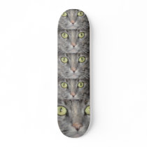THE BIG BOARD skateboards