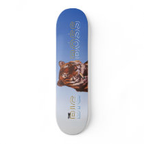 THE BIG BOSS 2 skateboards