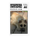 The BIG EYED baby Dane postage