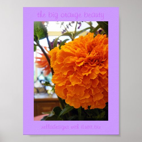 * The Big Orange Beauty by iLuvit print