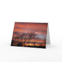 The Big Sky cards