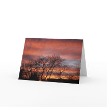 The Big Sky cards