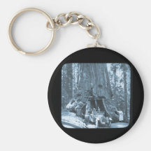 The Big Trees of Mariposa Grove Key Chains