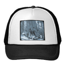 The Big Trees of Mariposa Grove Mesh Hats