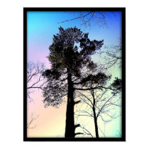 The Biggest Tree posters