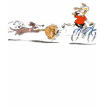The Bike Ride