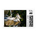 The Bird Bath postage