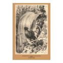 The Bird of Paradise, Sifilet, Manucaude Royal posters by ZephyrusBooks The Bird of Paradise, Sifilet, Manucaude Royal posters
