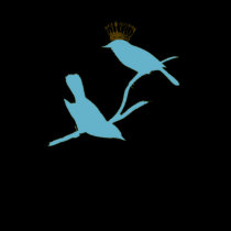 The Bird Prince T-Shirt