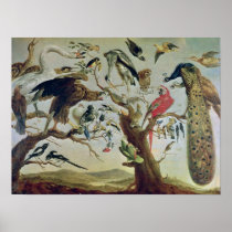 The Bird's Concert Poster