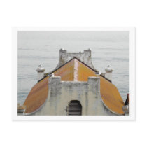 The Birds of Alcatraz Post Cards
