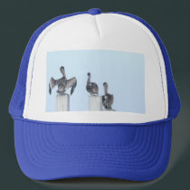 The Birds of San Ignacio hats