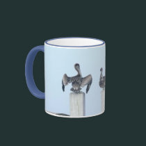 The Birds of San Ignacio mugs