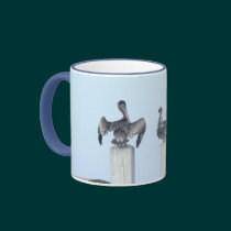 The Birds of San Ignacio mugs