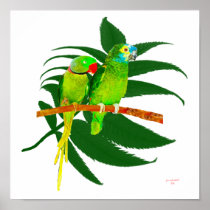 The Birds posters