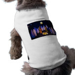 The Birth of Jesus Christ Bethlehem Nativity Scene Pet Clothes