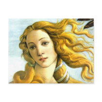The Birth of Venus - detail Post Card