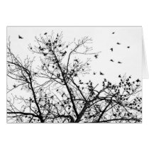 the black birds cards by photovirage the black birds cards