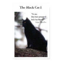 The Black Cat I posters