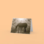 The Black Hills Wild Horse Sanctuary Notecard
