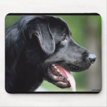 The Black Labrador mousepads