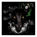 The Black Panther posters