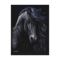 The Black Postcard
