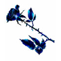 The Black Rose T-Shirt