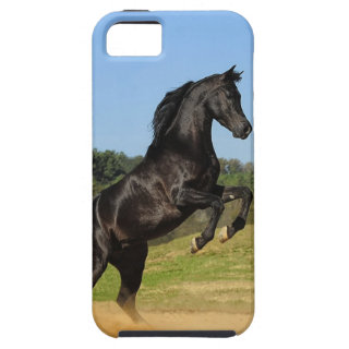 The Black Stallion iPhone 5 Cover