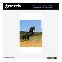 The Black Stallion iPod Touch 4G Decal