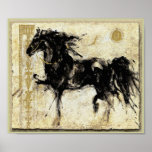 The Black Stallion ~ Poster / Print