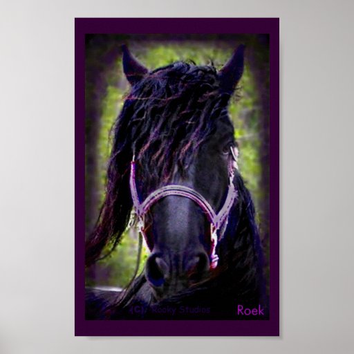 The Black Stallion Print