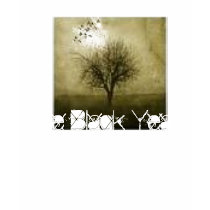 The Blaqk Year t-shirts
