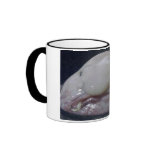 The Blobfish Coffee Mug