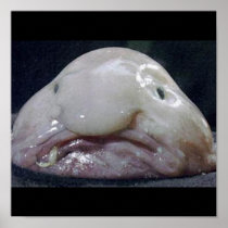 The Blobfish Posters