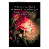 The Bloom of a Rose is Beautiful... cards
