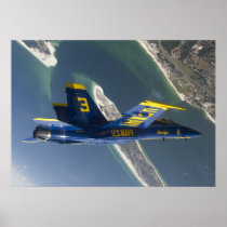 The Blue Angels Print