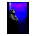 The Blue Door posters