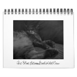 The Blue Lotus Studio Calendar