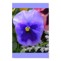 The Blue Pansy posters