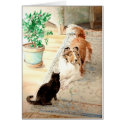"The Blue Rug" - Sheltie & Cat cards by foxbrush "The Blue Rug" - Sheltie & Cat cards