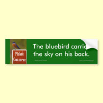 The bluebird carries the sky on his back. bumper stickers
