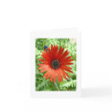 The blues are behind you notecard by CHOLOEPUS The blues are behind you notecard