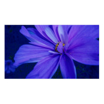 the blues business cards by dawnmcininch the blues business cards