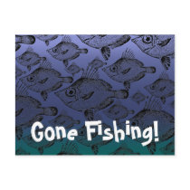 The Boar Fish: Gone Fishing - Postcard