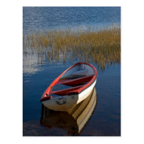 The Boat postcards