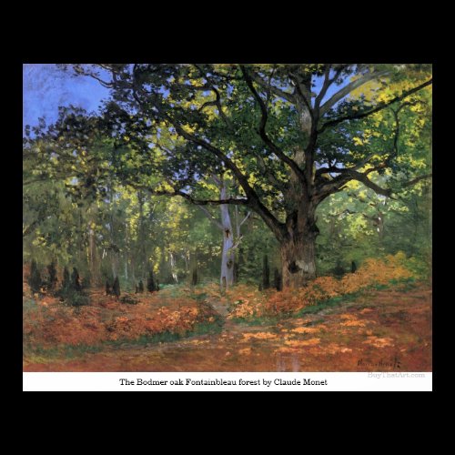 The Bodmer oak Fontainbleau forest by Claude Monet Posters