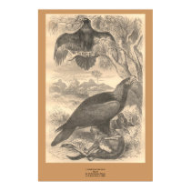 “The Bold Eagle” posters