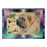 The Bond With A True Dog cards