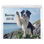 The Border Collie 2010 Wall Calendars